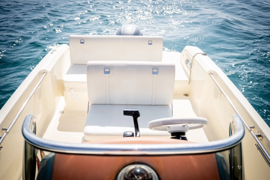 Invictus Yacht FX 200 de segunda mano en venta