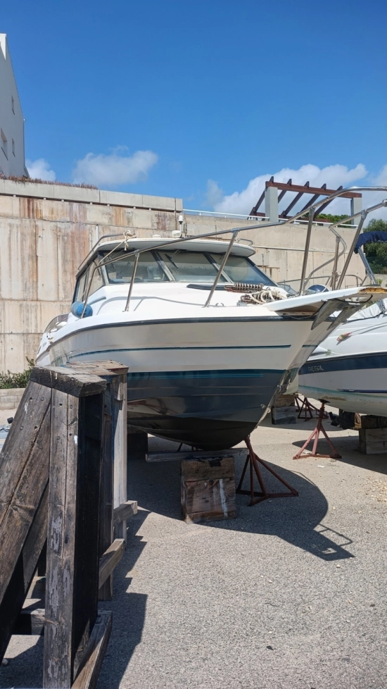 Bayliner Bayliner usado à venda