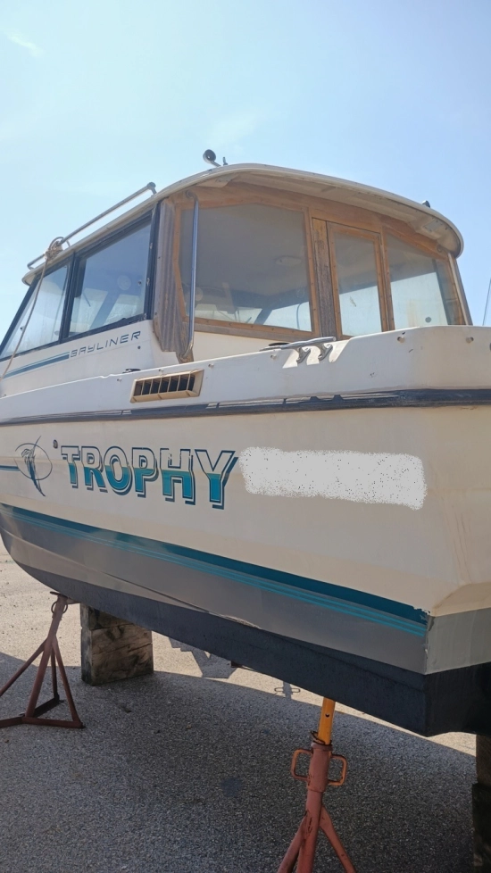 Bayliner Bayliner usado à venda