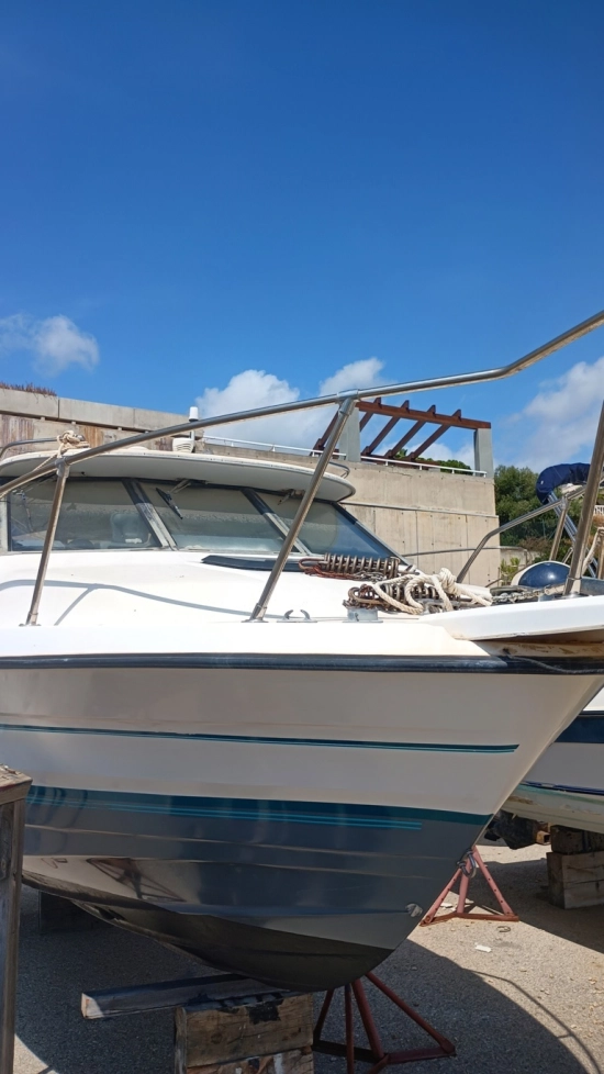 Bayliner Bayliner usado à venda