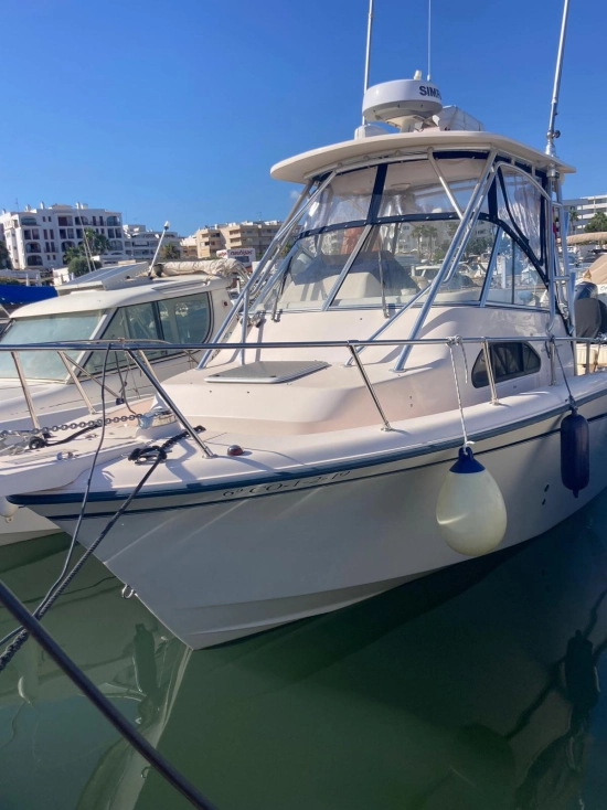 Grady White Sailfish 282 usado à venda