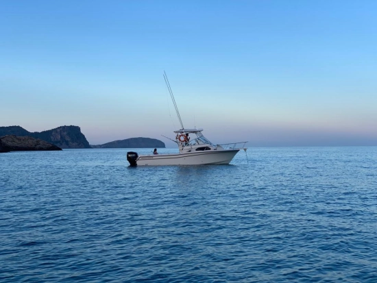 Grady White Sailfish 282 usado à venda