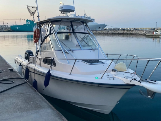 Grady White Sailfish 282 usado à venda