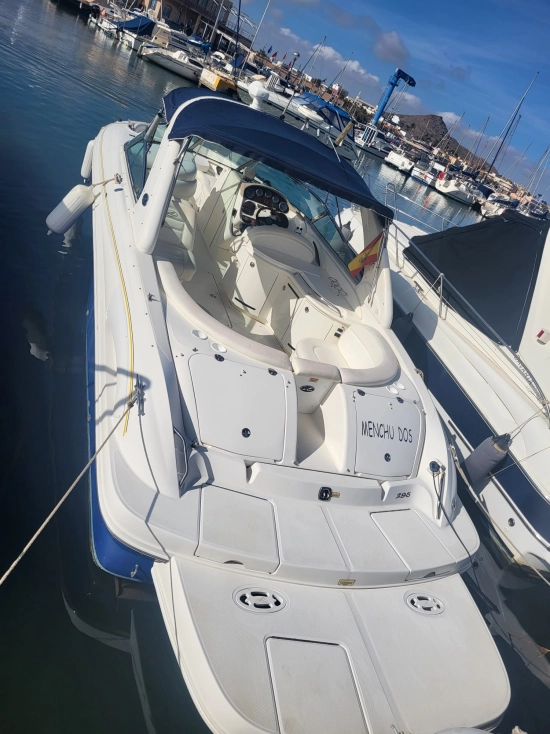 Sea Ray 295 usata in vendita