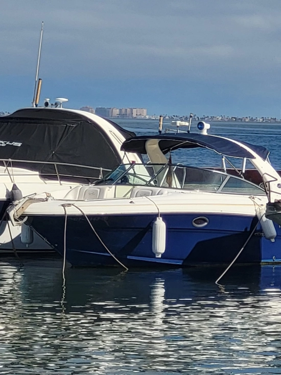 Sea Ray 295 usata in vendita