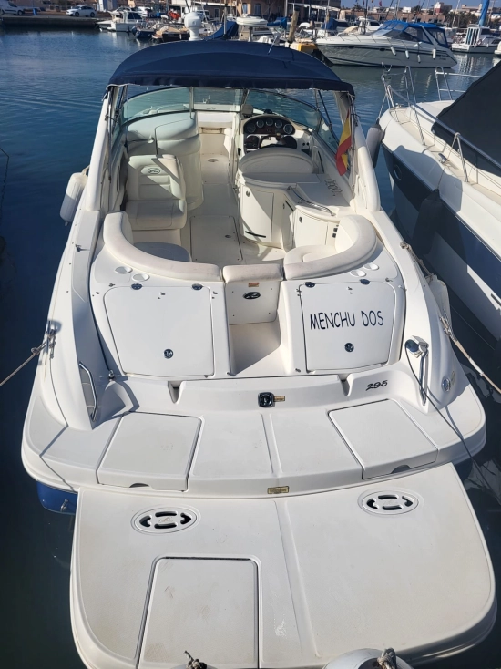 Sea Ray 295 usata in vendita