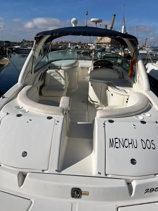 Sea Ray 295 usata in vendita