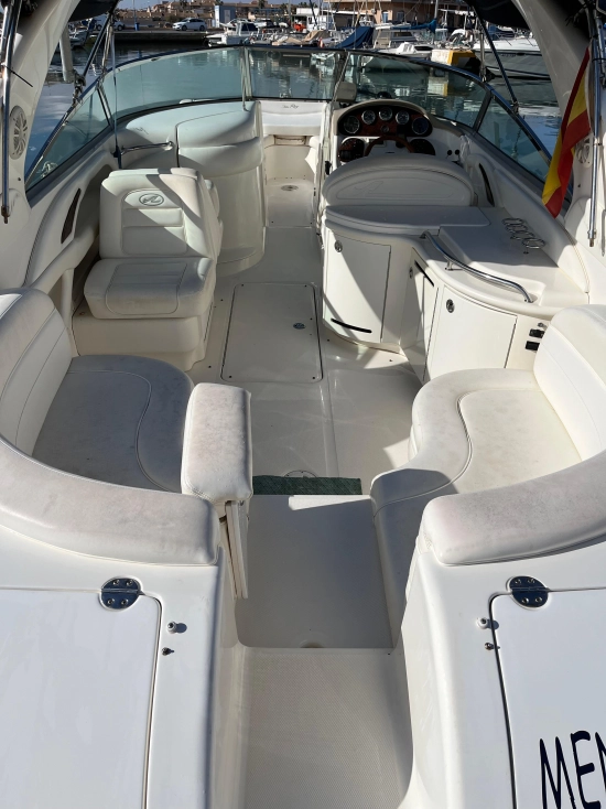 Sea Ray 295 usata in vendita