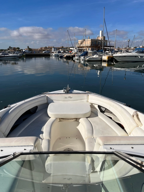 Sea Ray 295 usata in vendita