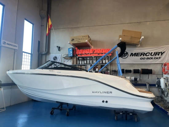 Bayliner V20 novos à venda