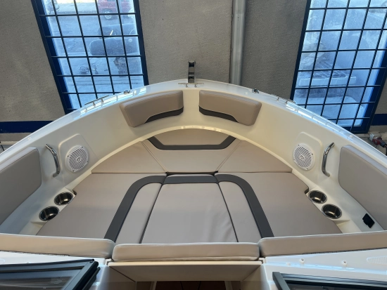 Bayliner V20 novos à venda