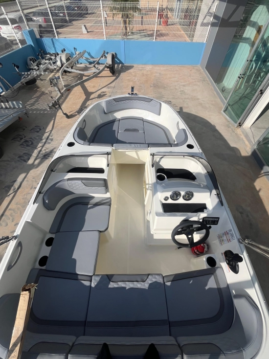 Bayliner Element M17 nuevo en venta