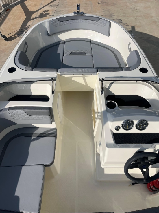 Bayliner Element M17 nuevo en venta