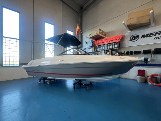 Bayliner Vr 4 ob novos à venda