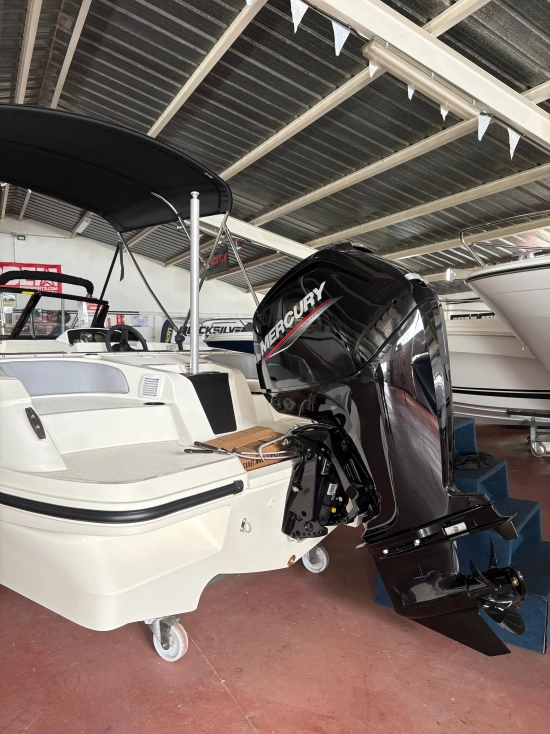 Bayliner Element M17 nuova in vendita