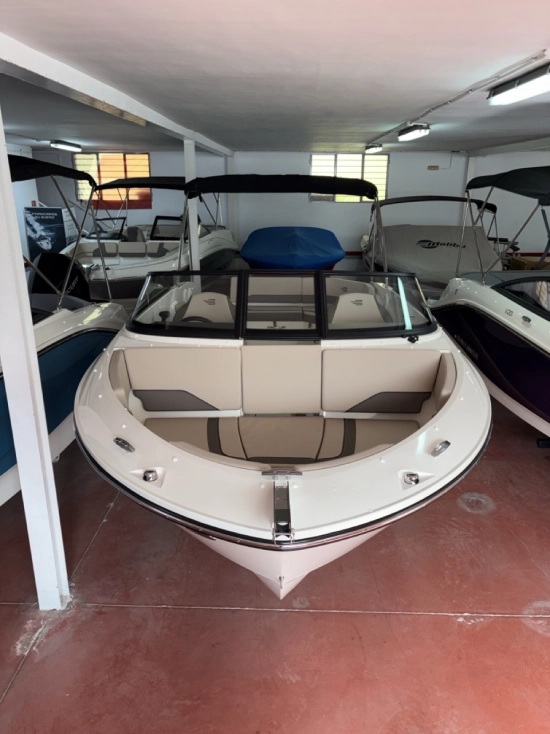 Bayliner V20 novos à venda