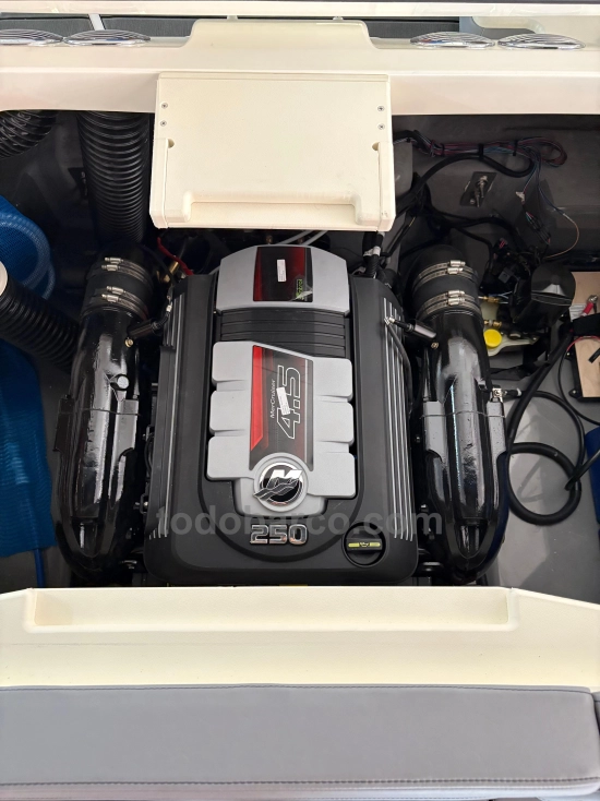 Bayliner V20 nuova in vendita