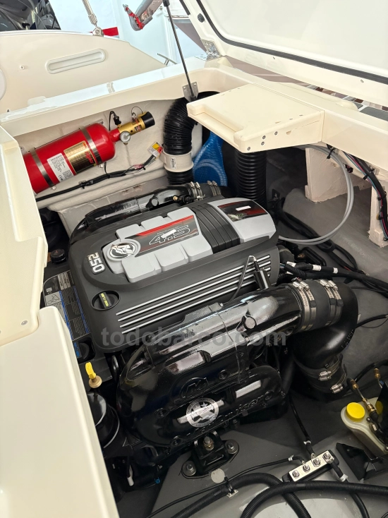 Bayliner V20 nuova in vendita