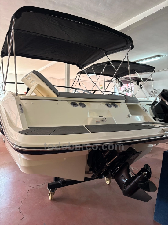 Bayliner V20 nuova in vendita