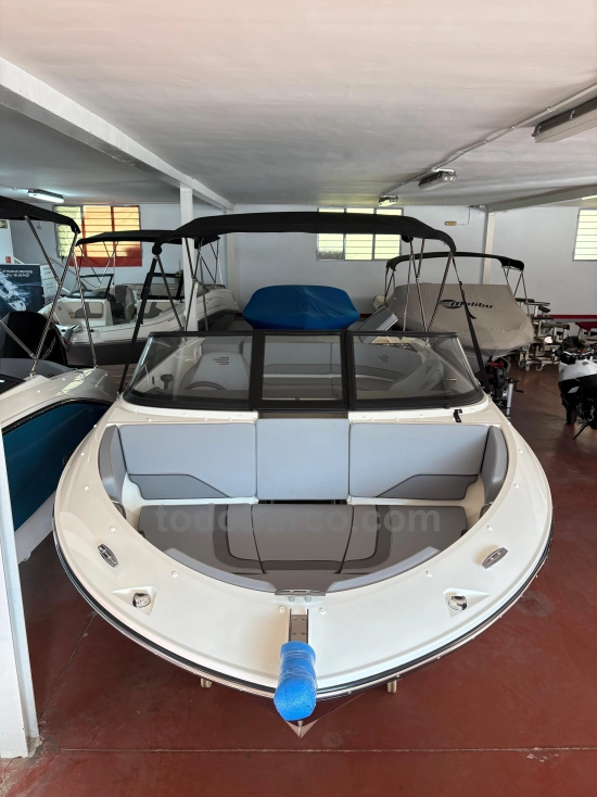 Bayliner V20 nuova in vendita