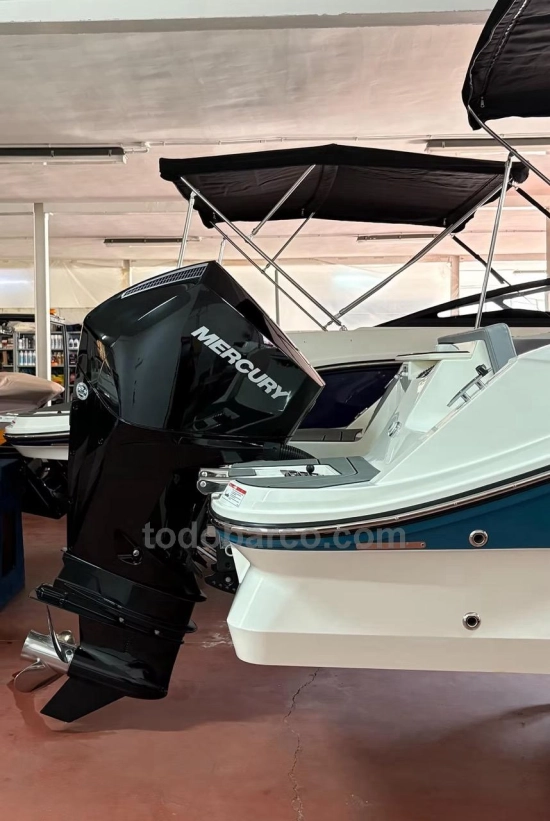 Bayliner C21 Cuddy Ob nuova in vendita