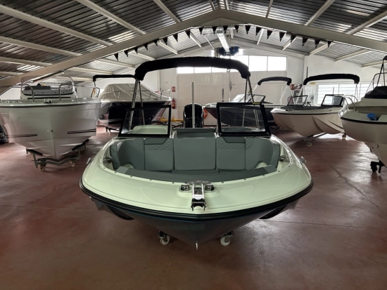 Bayliner Element M17 novos à venda