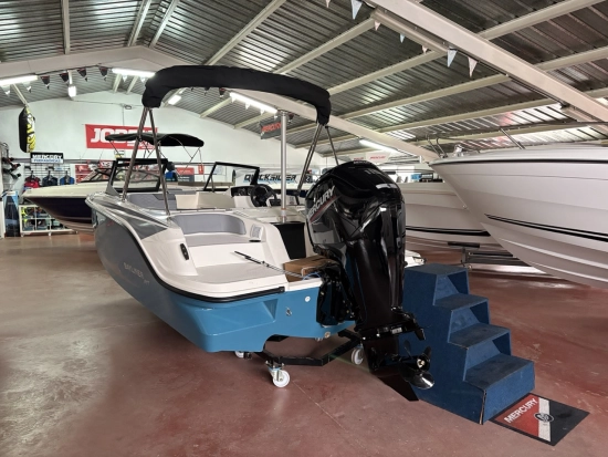 Bayliner Element M17 novos à venda