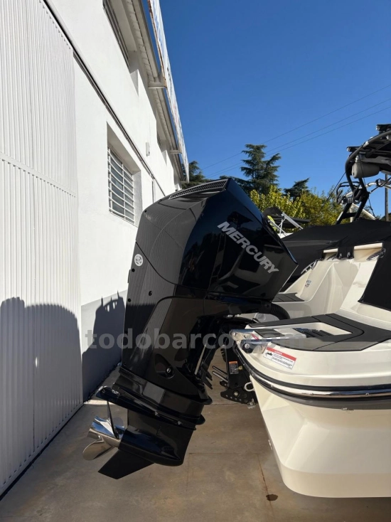 Bayliner V20 nuova in vendita