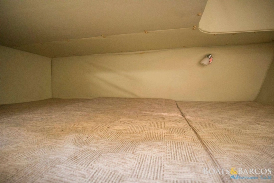 Cobrey 260 SC de segunda mano en venta