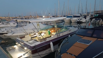 Sea Ray 210 de segunda mano en venta