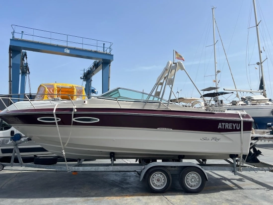 Sea Ray 210 usado à venda