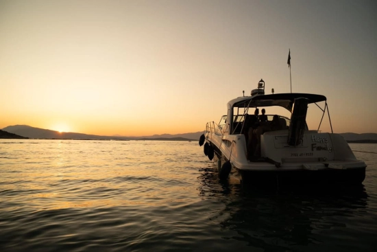 Sea Ray Sundancer 390 DA de segunda mano en venta