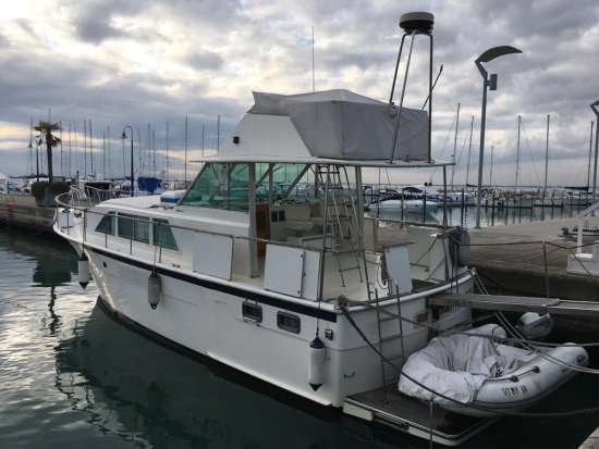 Hatteras Yachts 43 DOUBLE CABIN usata in vendita