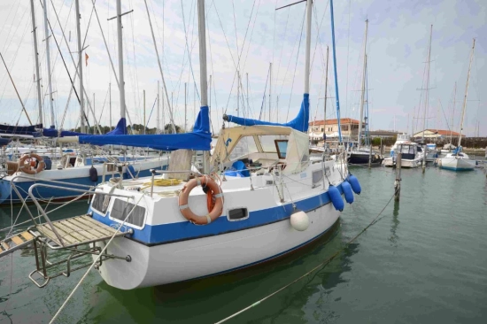 Lionello Laverda COMPASS 31 usata in vendita