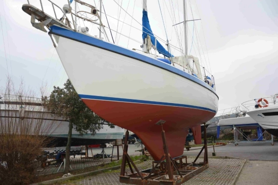 Lionello Laverda COMPASS 31 usata in vendita