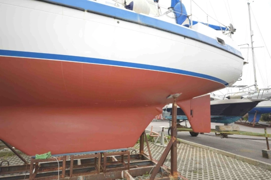 Lionello Laverda COMPASS 31 usata in vendita
