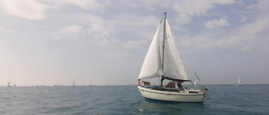 Automarine TORTUGA 27 usata in vendita
