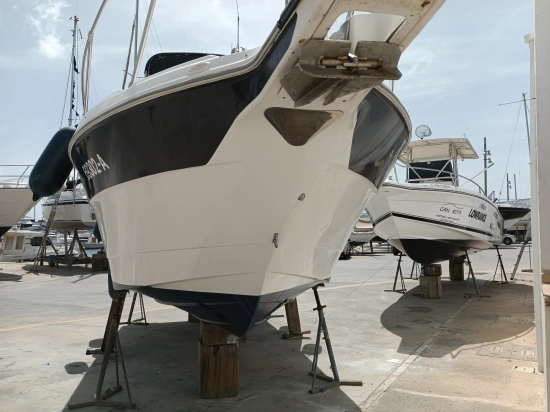 Bayliner Cierra 2655 de segunda mano en venta
