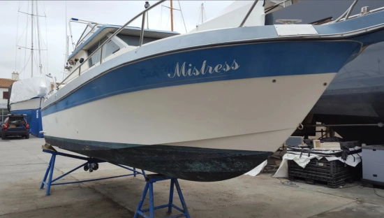Cruisers Sport Cruiser Holiday 224 de segunda mano en venta