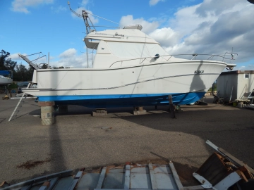 Rodman 11.20 de segunda mano en venta