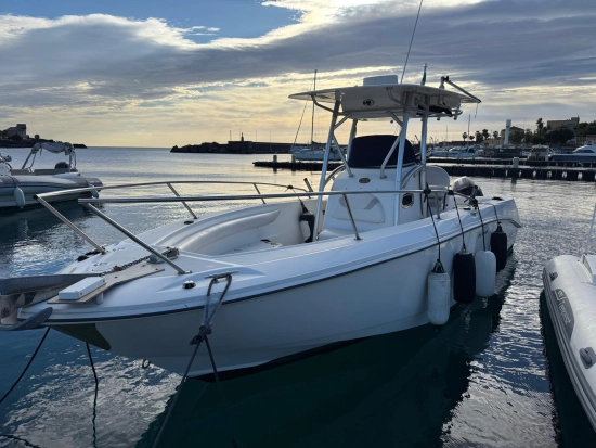 Boston Whaler 270 OUTRAGE de segunda mano en venta