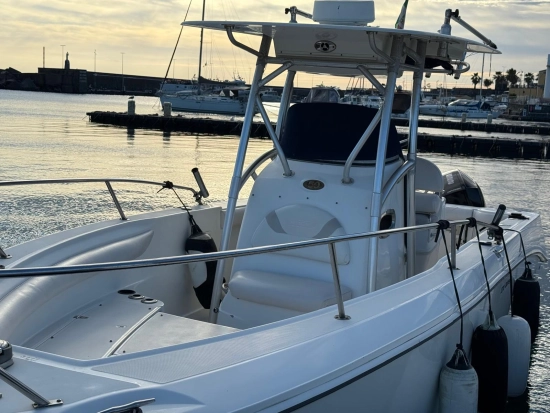 Boston Whaler 270 OUTRAGE de segunda mano en venta