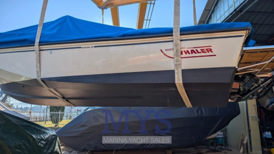 Boston Whaler 22 Outrage usado à venda