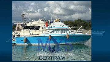 Bertram 28 Fly usata in vendita