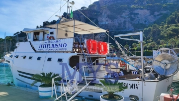 Martello unico motopesca usata in vendita