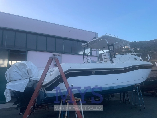 Boston Whaler 305 CONQUEST de segunda mano en venta