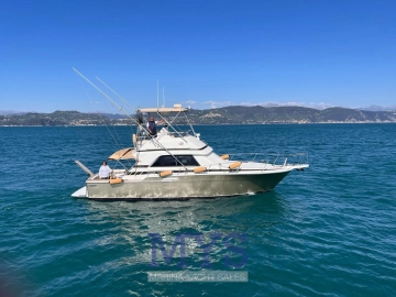 Bertram 37 Convertible de segunda mano en venta