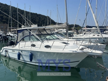 Wellcraft 290 Coastal FB usata in vendita