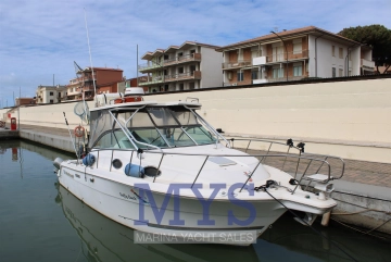 Wellcraft 290 Coastal FB usata in vendita
