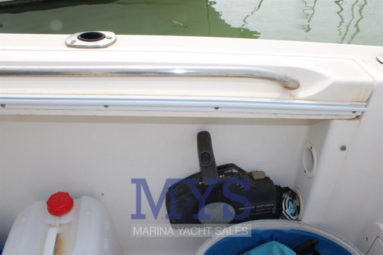 Wellcraft 290 Coastal FB usata in vendita